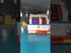 Tarpaulin 4x3m Commercial Inflatable Water Slides Inflatable Bouncy Castle Silk Printing