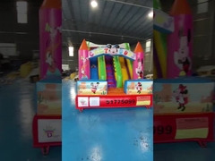 SGS Commercial Inflatable Water Slides Cartoon Themed Infant Bounce House Blow Up Jump House