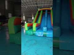 Silk Printing Commercial Inflatable Dry Slide Outdoor Jumping Bouncer Slide