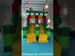 New Design Inflatable Slide Frog Figure Inflatable High Double Slides Dry Slide For Kids And Adults