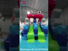 Commercial Grade Inflatable Dry Slide Frog Figure Inflatable High Double Slides For Kids And Adults