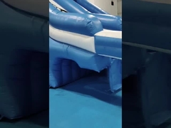 Commercial Outdoor Giant Inflatable Water Slide Octopus Cartoon Inflatable Water Slide