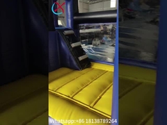 Fireproof Commercial Inflatable Bouncer Moonwalk Cartoon Theme With Rotary Slide Combo