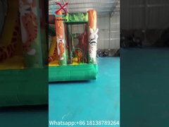Inflatable Castle Animals Figures Inflatable Bouncer House With Dry Slide Jumping House For Event