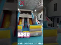 Commercial Inflatable Dry Slide Airplane Model Double Slides Inflatable Castle For Kids And Adults