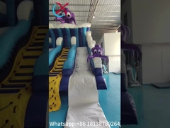 This new ocean octopus-themed inflatable dry double slide offers a fun and unique play experience th