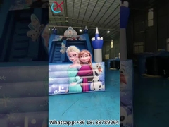 Commericial Inflatable Slide The Frozen Inflatable Single Dry Slides