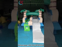 Commericial Inflatable Slide Palm Inflatable Water Dry Slides Outdoor