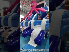 Inflatable Slide Octopus Inflatable Double Dry Slides Outdoor