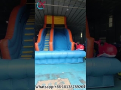 Commercial Inflatable Slide Inflatable Dry Slides Outdoor