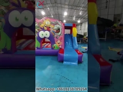 Inflatable Bug Bouncy House With Slide Inflatable Inflatable Castle