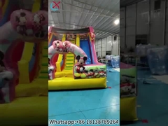 Inflatable Slide Mickey And Minnie Inflatable Double Dry Slides Castle