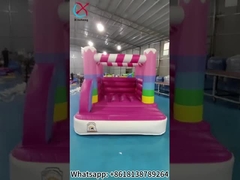 Inflatable Bounce House Pink House Inflatable Jumping Castle