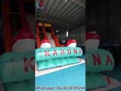 Commercial Goldfish Inflatable Slide Inflatable Dry Slides For Outdoor
