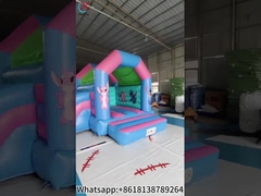 Inflatable Lilo & Stitch Bouncy House With Slide Combo