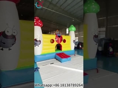 Inflatable Bouncer Castle Insect Inflatable Bounce House For Fun
