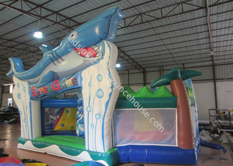 Outdoor Games Toddler Bouncy Castle , Small Indoor Bounce House 9.5 X 6 X 5m