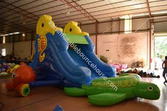 Small Tortoise Inflatable Water Slide / Cute Blow Up Seahorse PVC Slide With Pool
