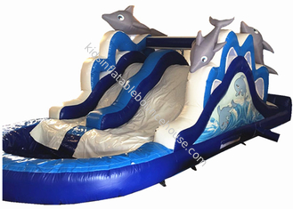 Lovely Dolphin Long Blow Up Slippery Slide , Children Little Tikes Inflatable Water Slide