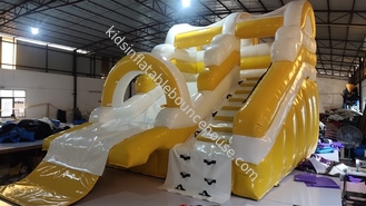 Outside Games Inflatable Floating Water Slide For Fun