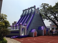 Big 12 People Tarpaulin 0.55mm Commercial Inflatable Water Slides