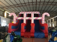 Outdoor And Indoor Circus Inflatable Dry Slide Silk Screen Printing