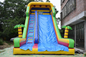 Simple Large Inflatable Dry Slide / Bright Colour Palm Tree Slides