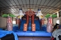 Pirate Themed Dolphins Commercial Inflatable Water Slides For Rental In Amusement Park Inflatable Pirate Dry Slide