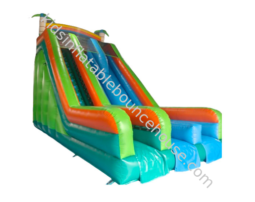 Silk Printing Commercial Inflatable Dry Slide Outdoor Jumping Bouncer Slide