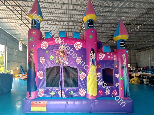 Commercial New Design Inflatable Castle Disney Princess Cartoon Inflatable Bouncy House With Slide Funny Jumping House
